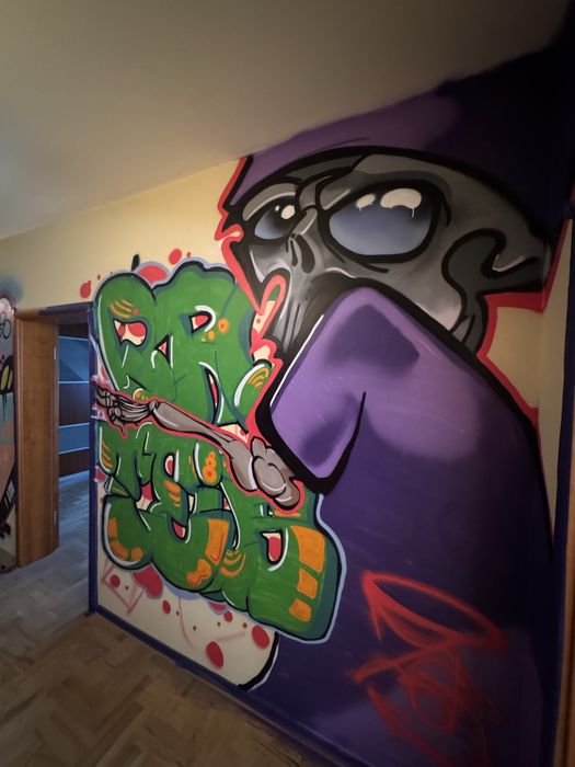 Wykonam profesjonalne Graffiti/Malunki na ścianach-na zamówienie
