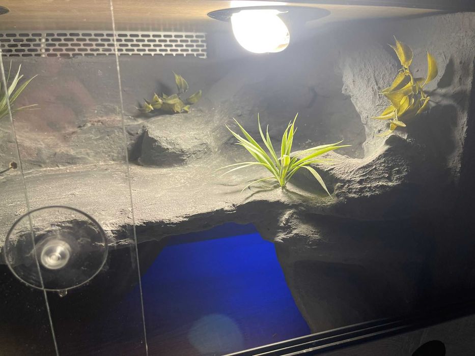 Terrarium 90x45x50