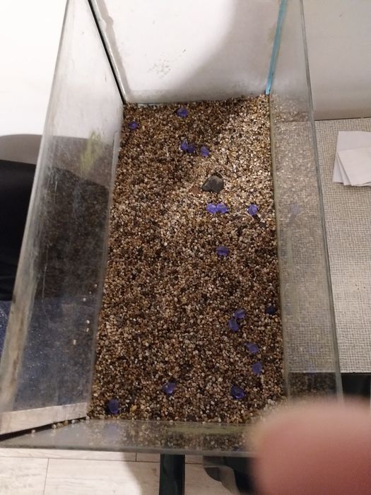 Akwarium 60/30/30 szczelne