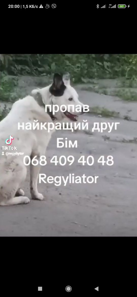 Пропала собака в Гуляйполе, Орехов, Пологи..
