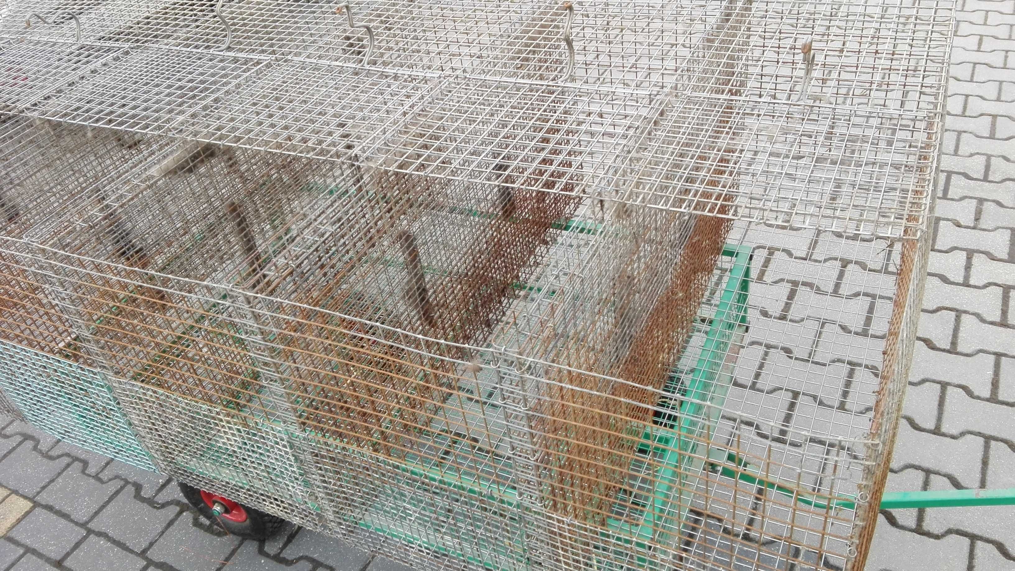 Klatka dla królików, gryzoni , ptaków, 6 komorowa
