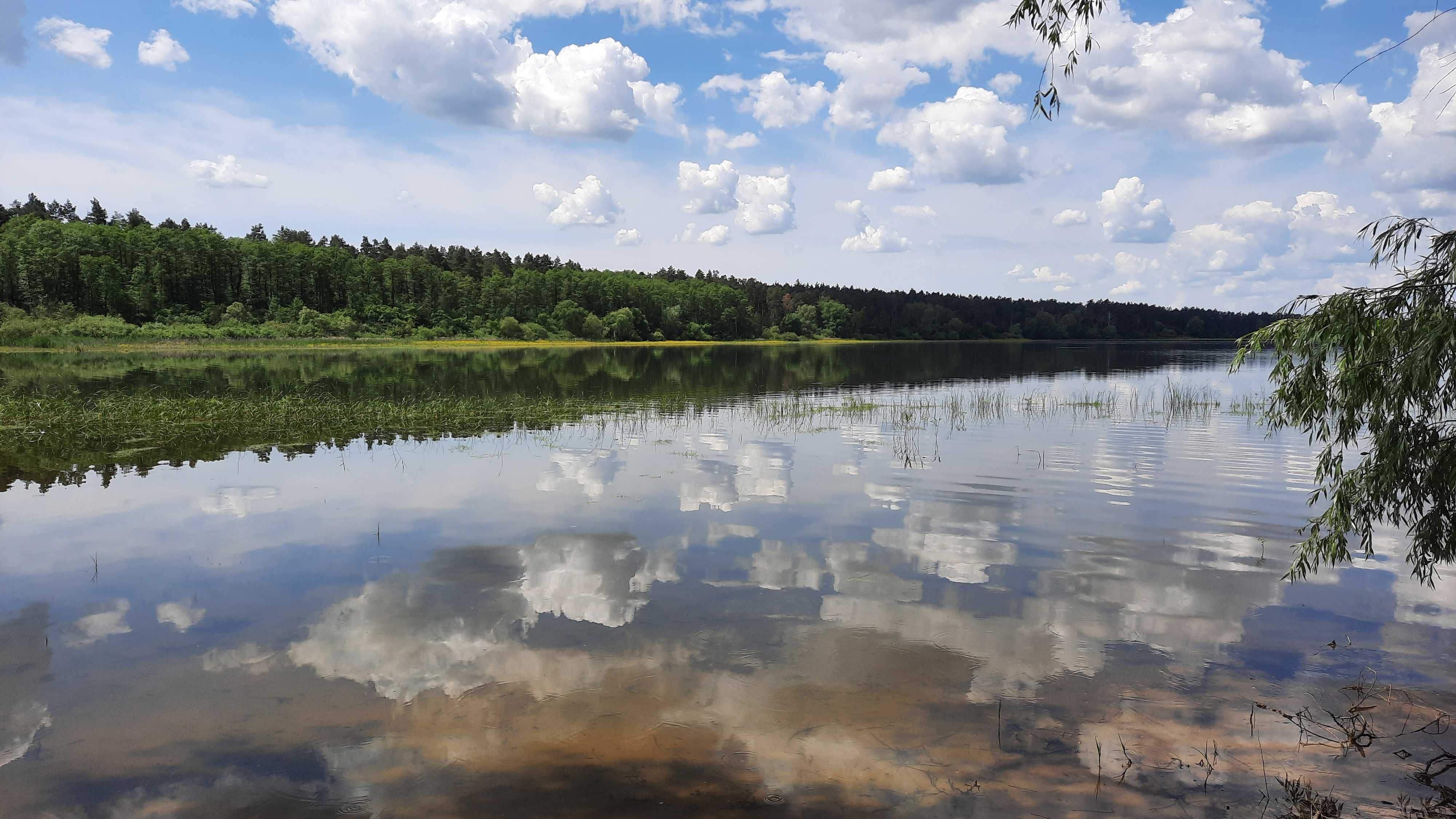 Ділянка 25 сот. з цокольним поверхом будинку в Корнині