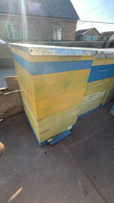 Продаи пчелинье улья