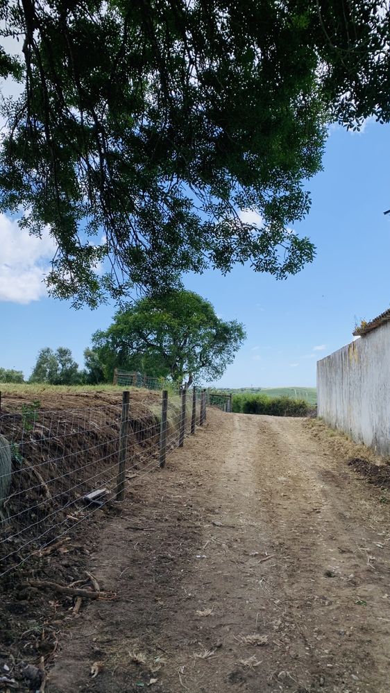 Vedações, Cercas, Fence, Horse Fence