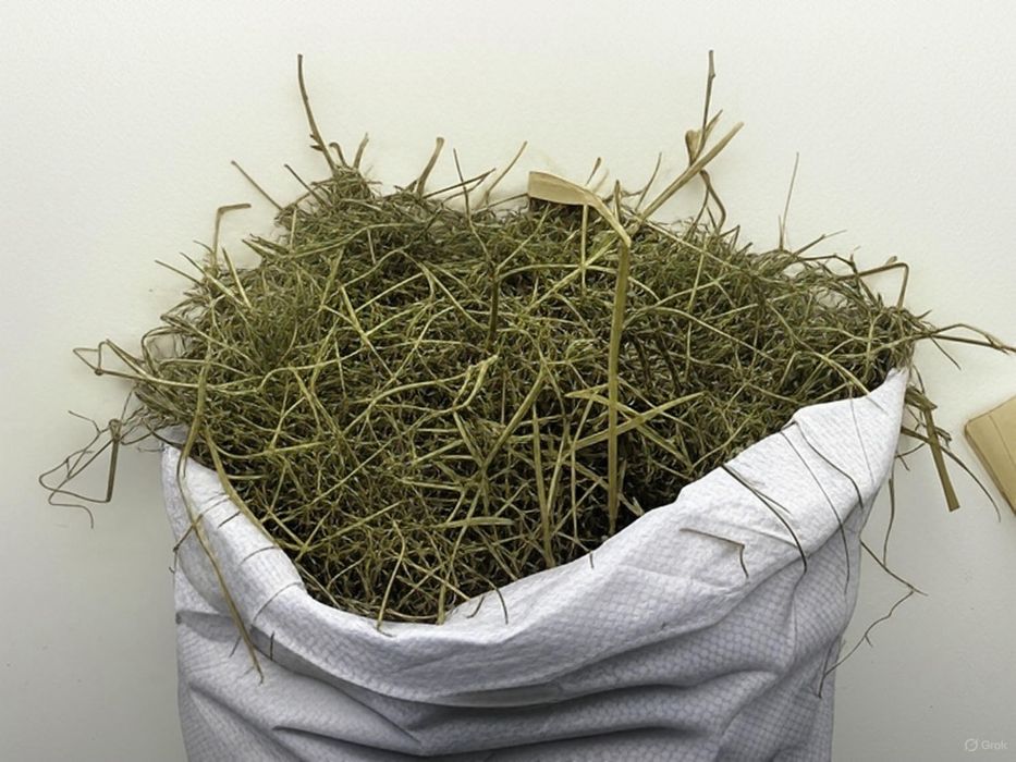 Siano dla gryzoni królików świnki morskie naturalne - 5kg