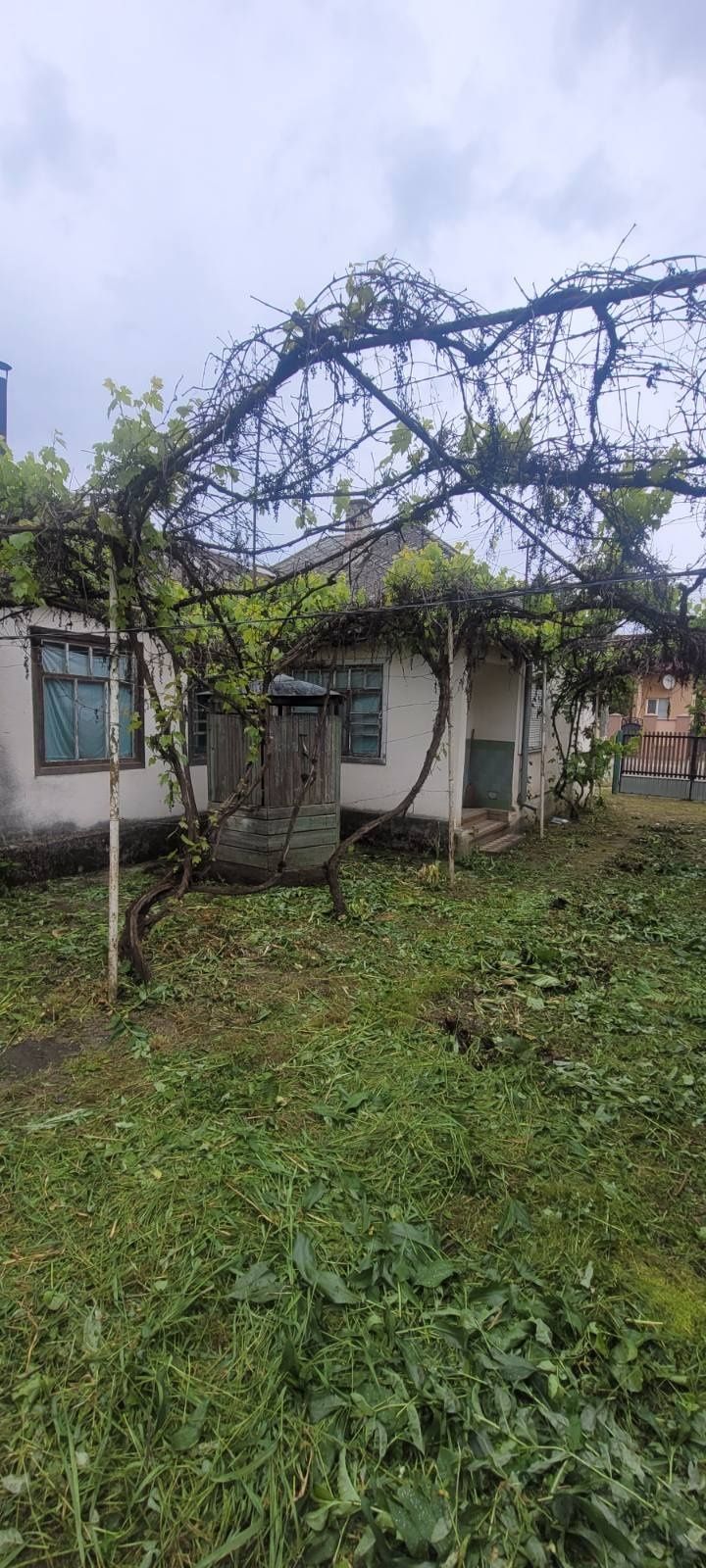 Продам дом Закарпатье Вари