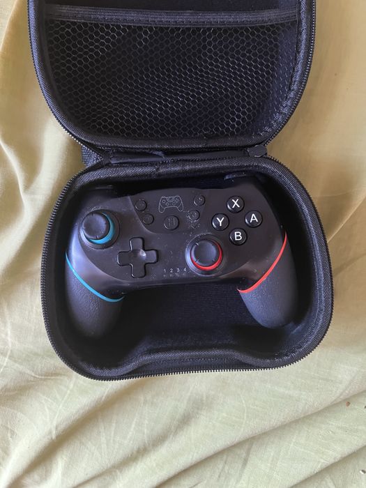 Pad nintendo switch