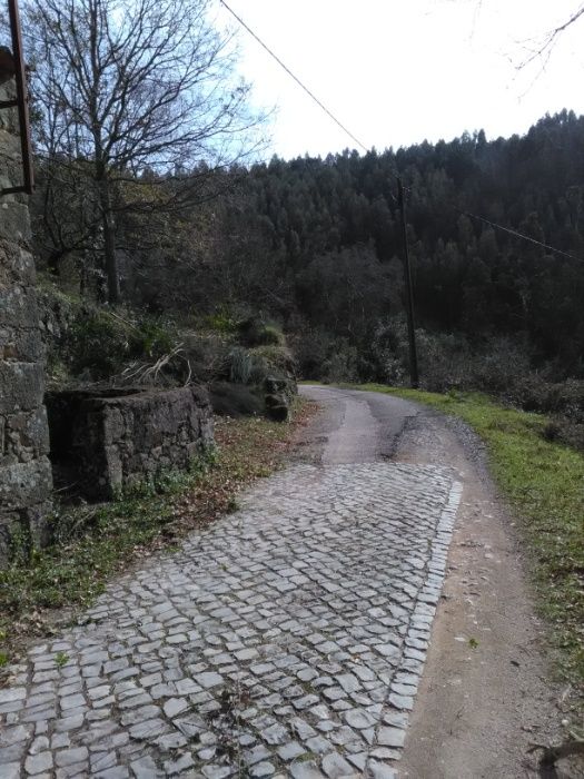 casa em pedra para recuperar -Pomar da serra-Espinhal