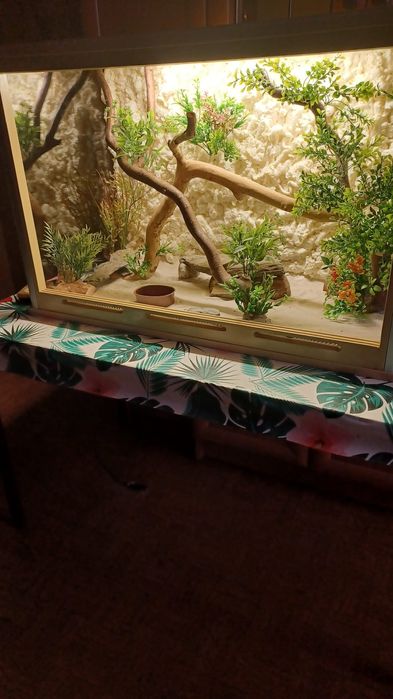 Terrarium dla gadów  węża  jaszczurki gekona