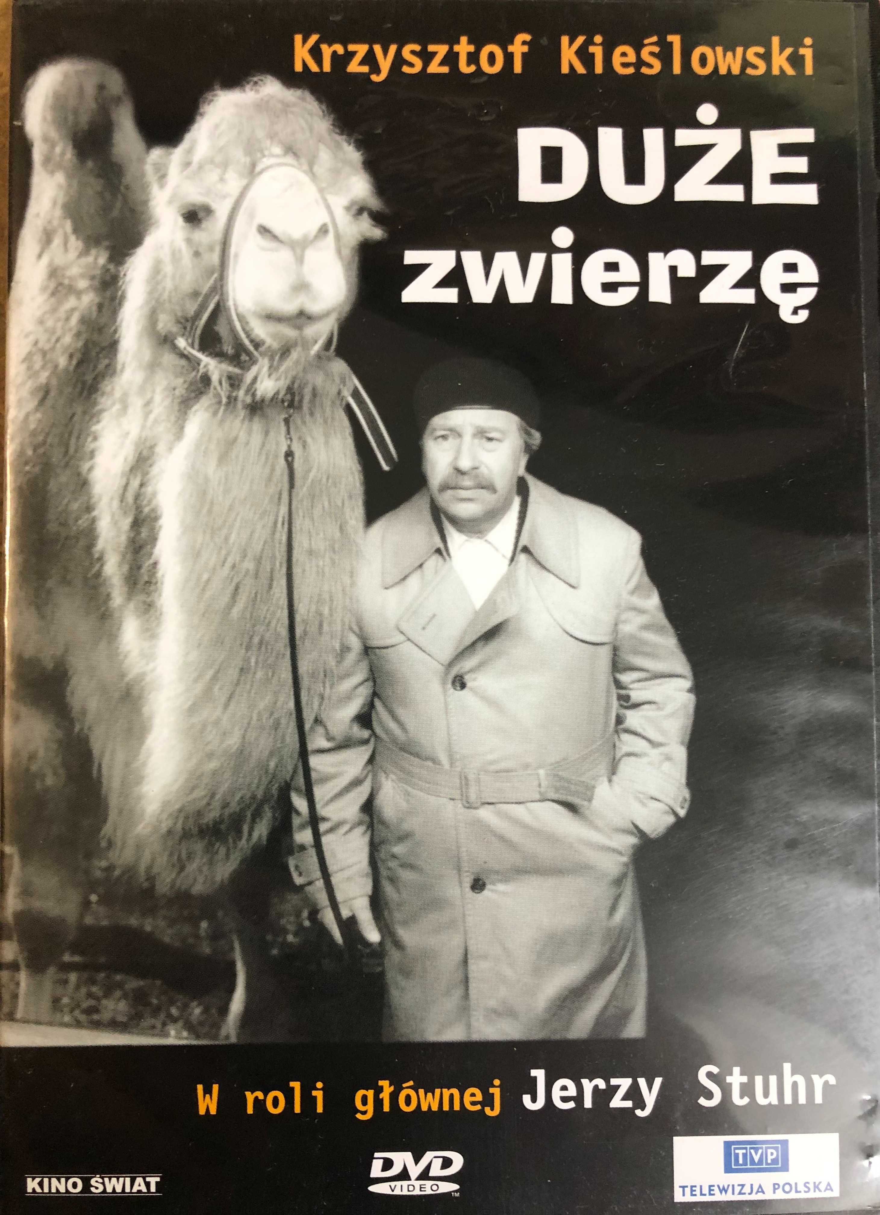 DVD Duże zwierzę Krzysztof Kieślowski Jerzy Stuhr
