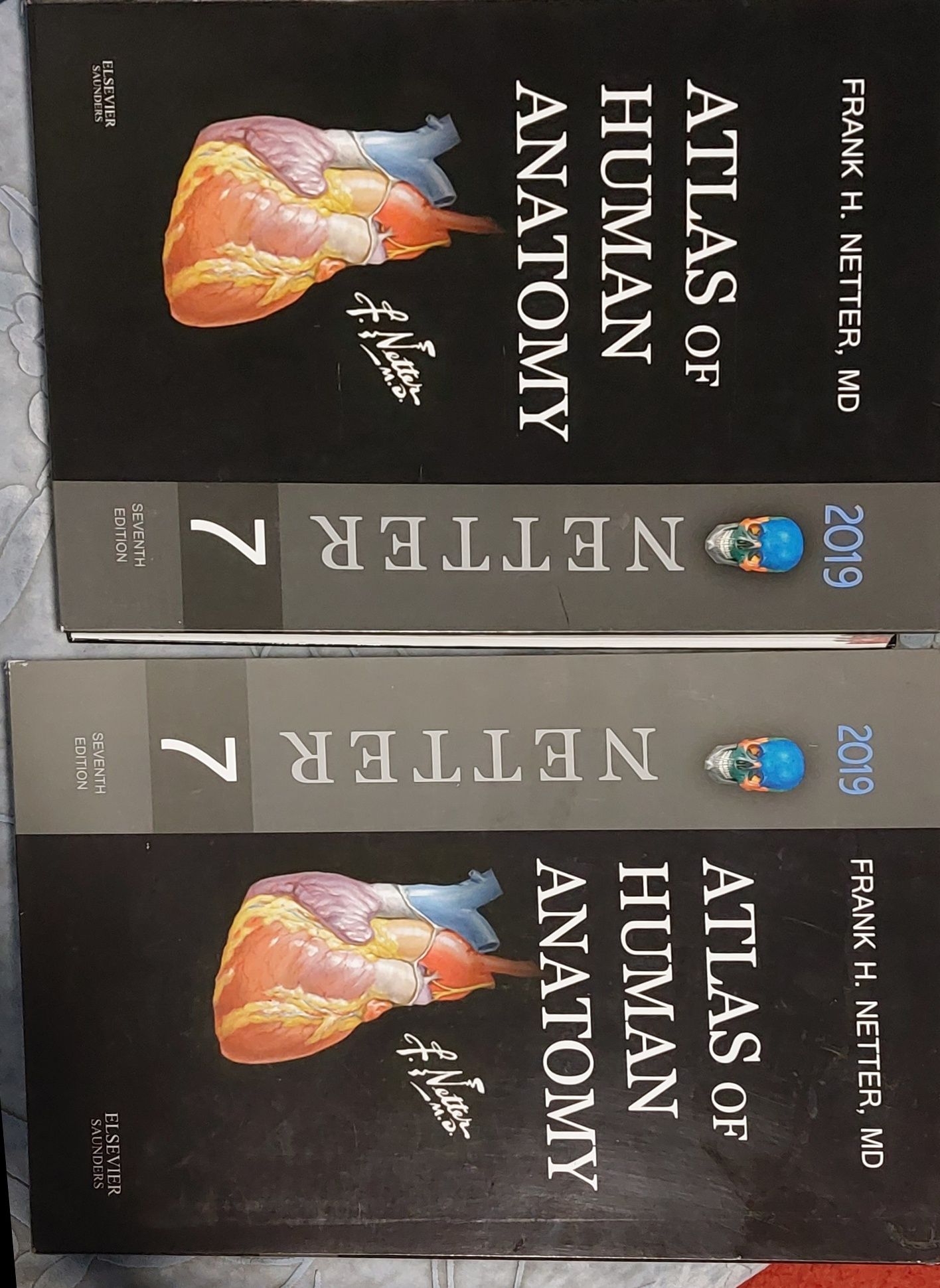Книга-АТЛАС АНАТОМІЇ ЛЮДИНИ. Видання 7 Мова-Англійська
Автор- Frank H.