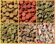 Pastilhas de Colar no Vidro Spirulina, Alho, Red Color, Vegetais e Ovo