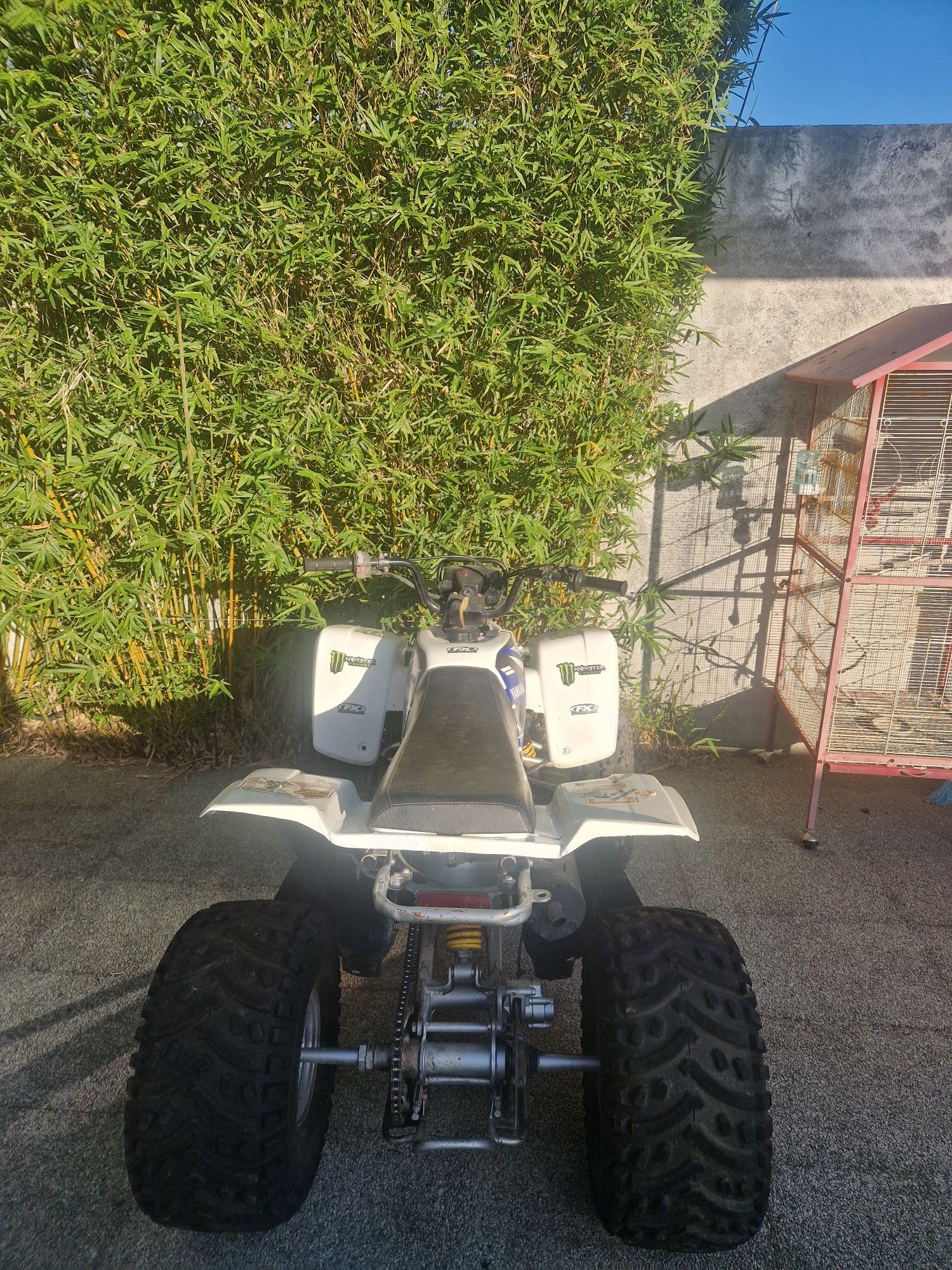 Yamaha blaster 200