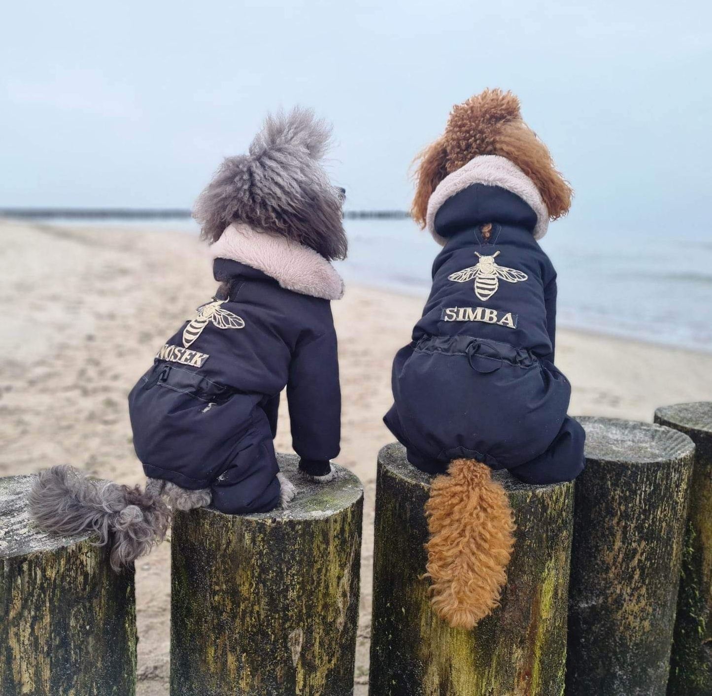 kombinezon nieprzemakalny,zimowy dla york,shihtzu ,maltańczyk na miare