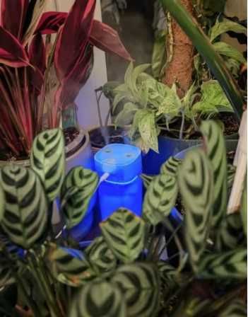 Зволожувач повітря 600ml з подвійним розпилювачем і нічник, 7 кольорів