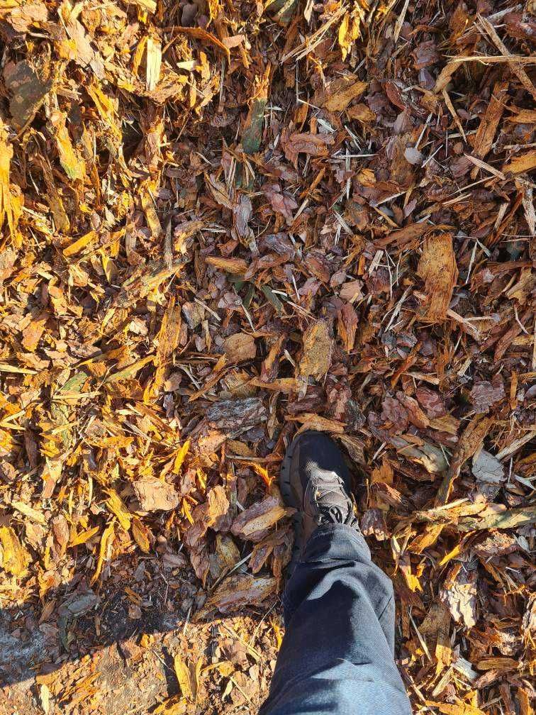 Kora sosnowa (nie sortowana) workowana Dostawa Gratis