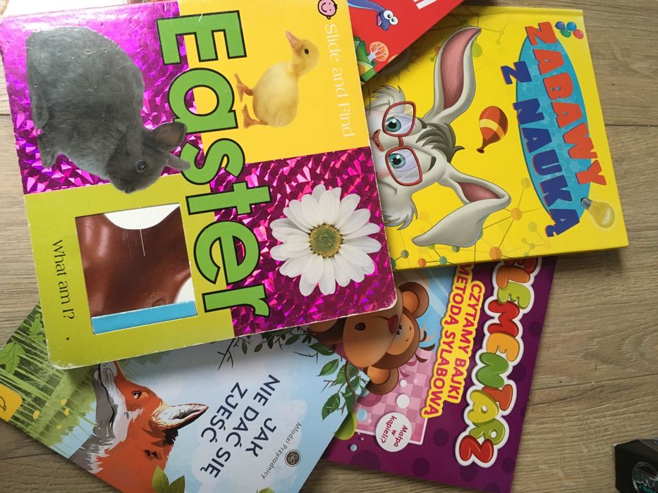 Zestaw 6 książeczek dla dzieci bajki o dinozaurach Easter Elementarz