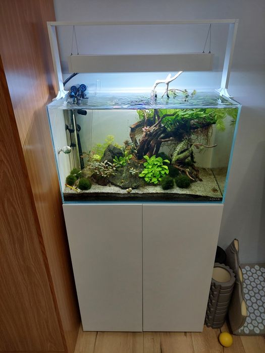 Aquael ultrascape 60 białe z szafką