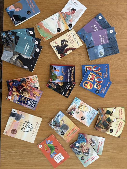 Livros recomendados ensino á escolha 1€ cada