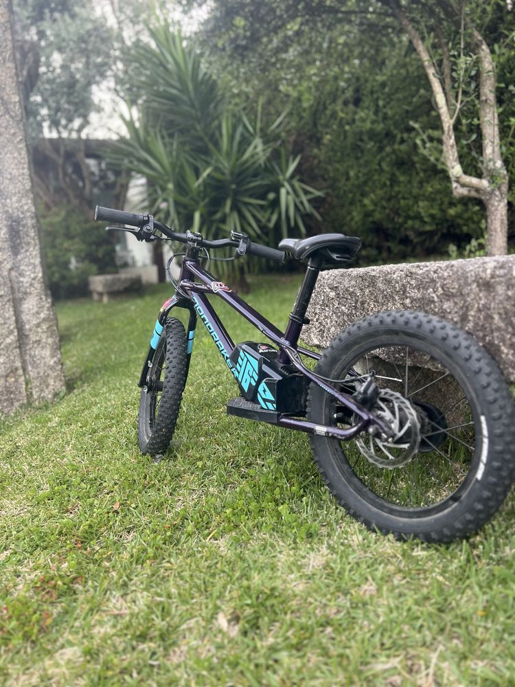Bicicleta de criança eletrica