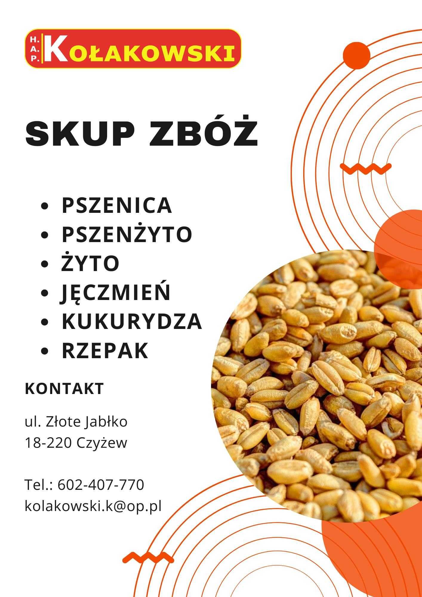 Skup zbóż 2025, możliwy odbiór z pola - Czyżew i okolice