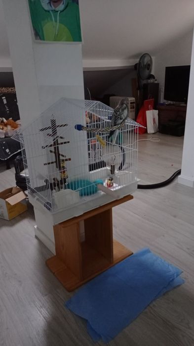 Gaiola em excelentes condições