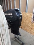Silnik zaburtowy Evinrude 40 częsci