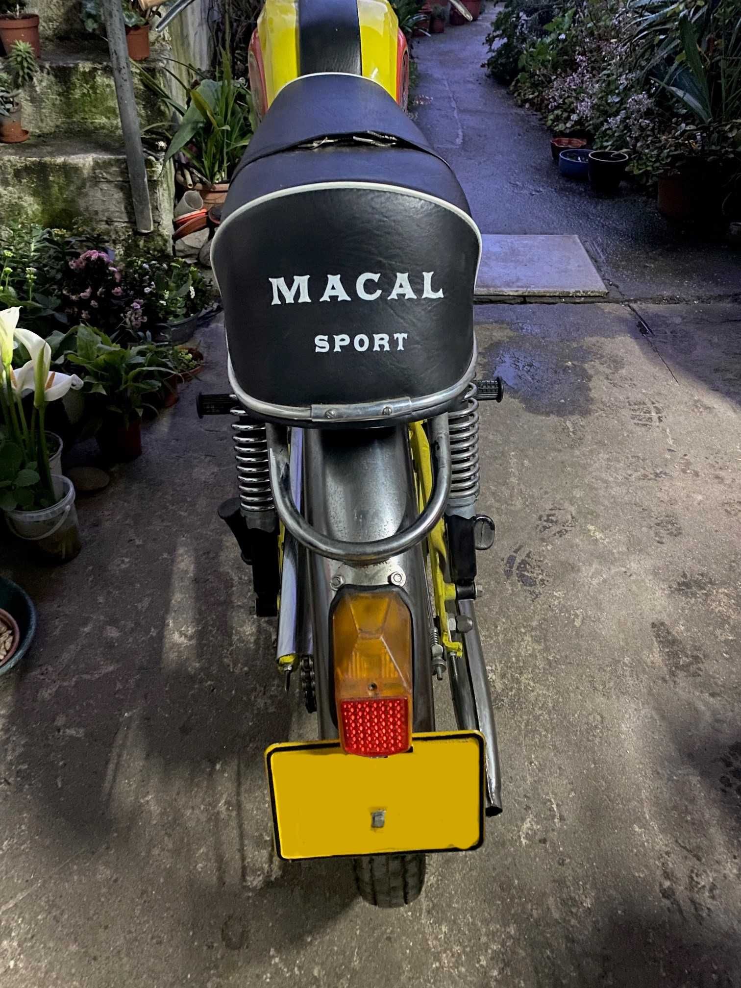 Honda macal Sport