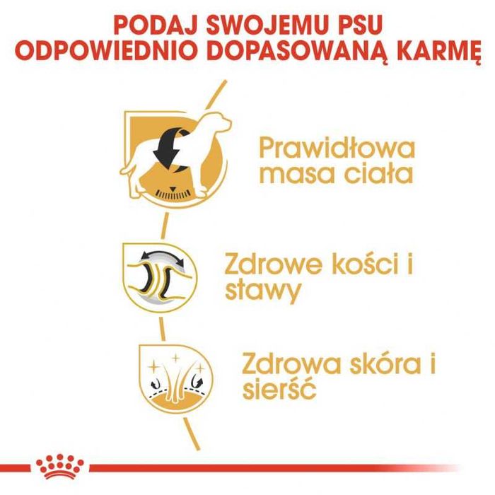 Karma dla psa sucha Royal Canin Breed Labrador Retriever Adult 12kg
