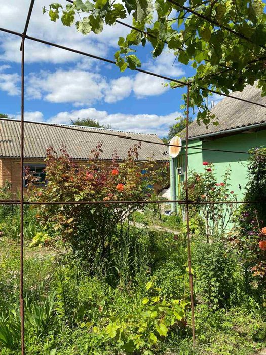 Будинок з усіма зручностями | Лісові Гринівці | 25 соток