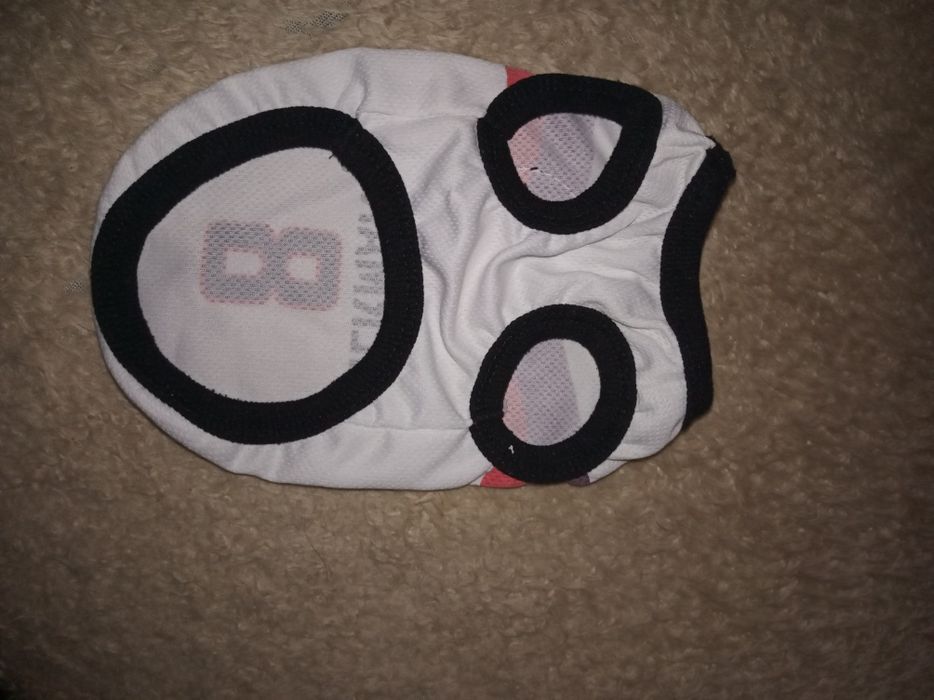 Ubranko dla pieska Barwy Niemiec