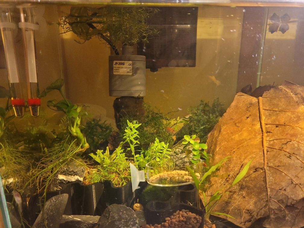 Akwarium kostka ok.15l