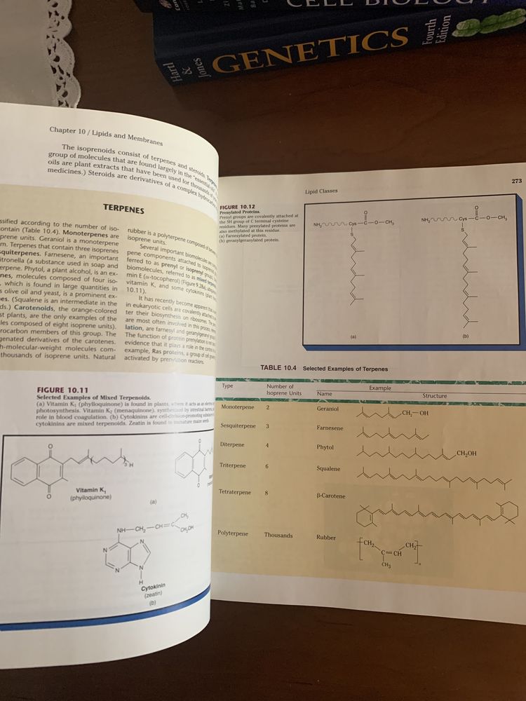 Livro Biochemistry-Trudy McKee, James R. McKee