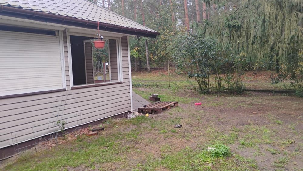 Dom jednorodzinny w Nieporęcie 75 m² z podwórkiem i widokiem na las..