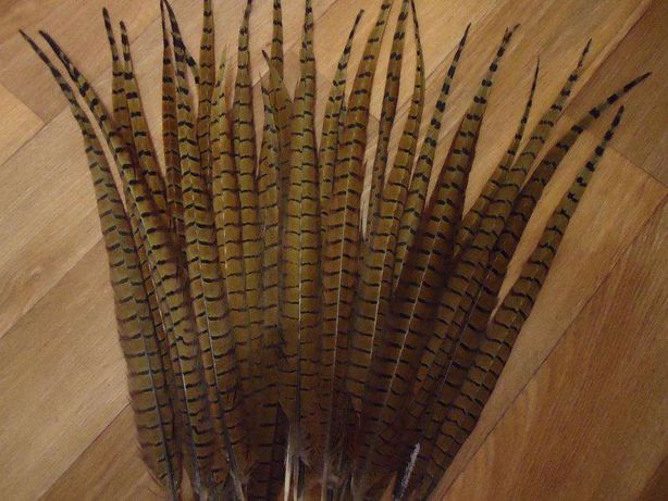 Длинные перья птиц перо хвост фазана орлиные: ловец снов, рукоделие