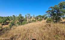 Terreno situado em espaço urbanizavel com bons acessos em São Brás de