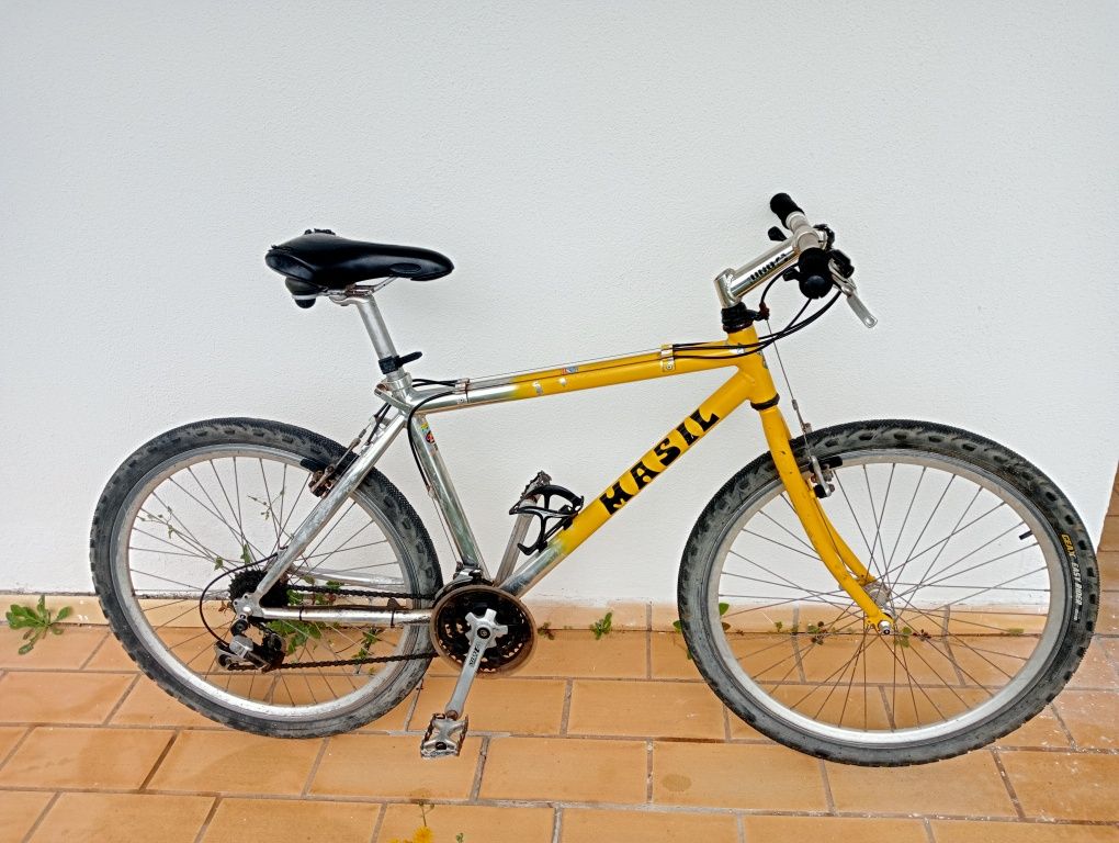 Vendo as duas bicicletas juntas, por 100.00 €.