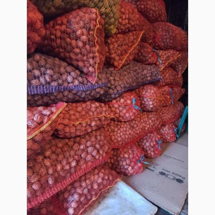 Продам грецький горіх