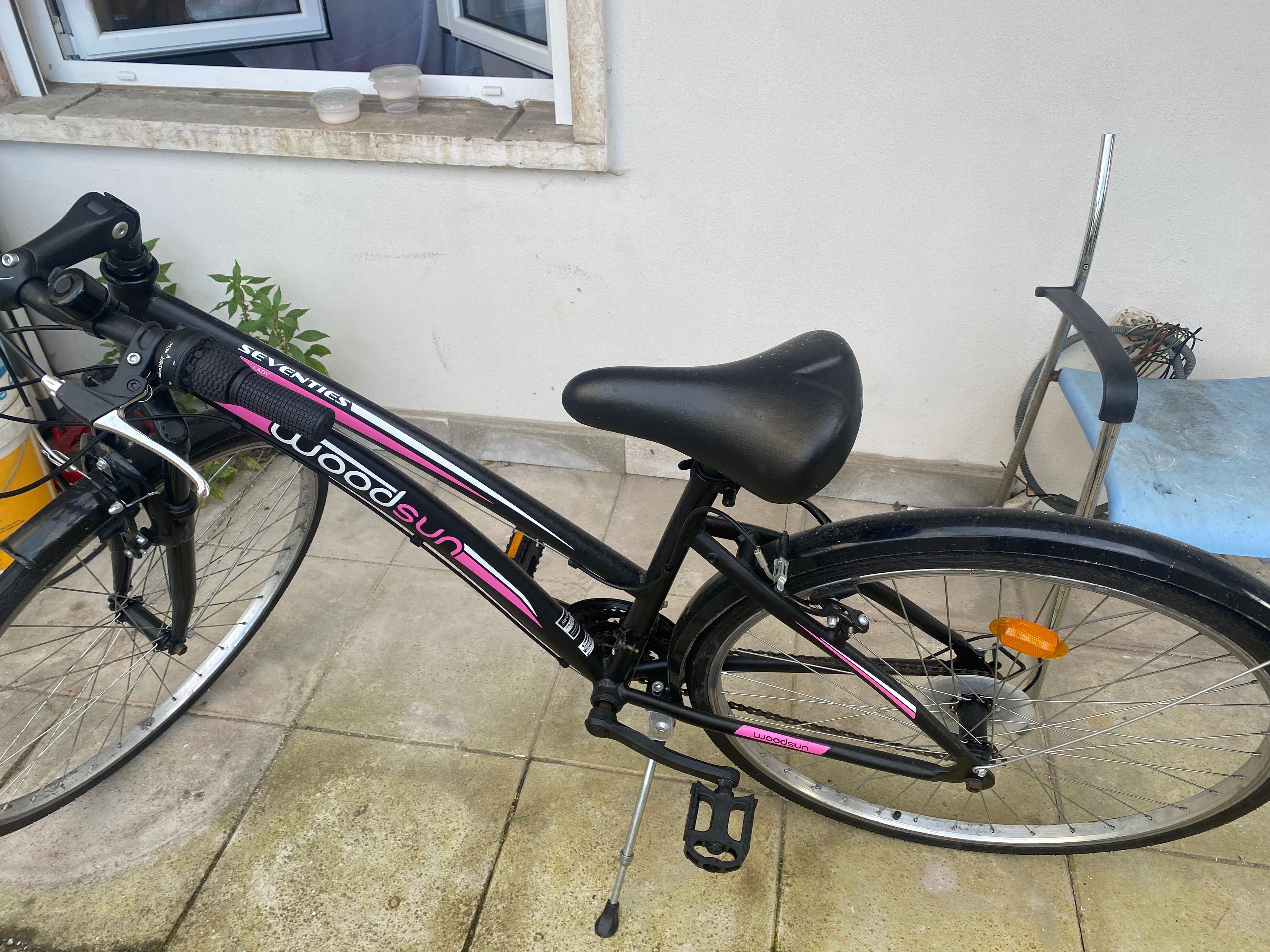 Bicicleta adulto