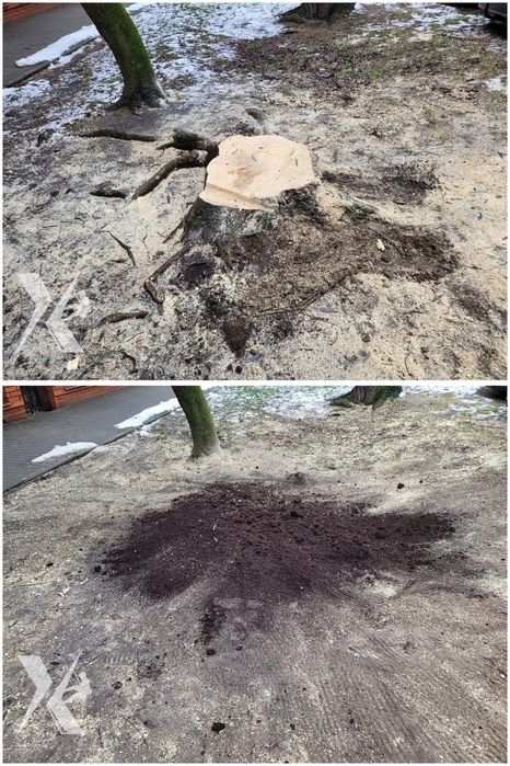 Usuwanie pni / frezowanie pni / karczowanie / frezarka Vermeer sc252