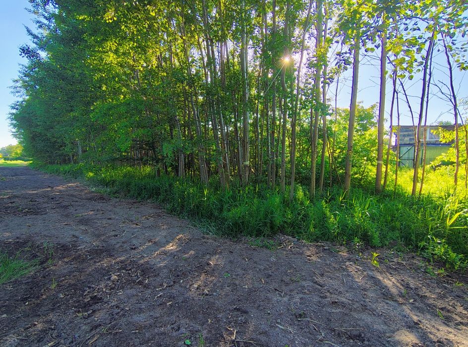 Sprzedam działkę budowlaną - 3747 m2 Ruda Śląska - Halemba