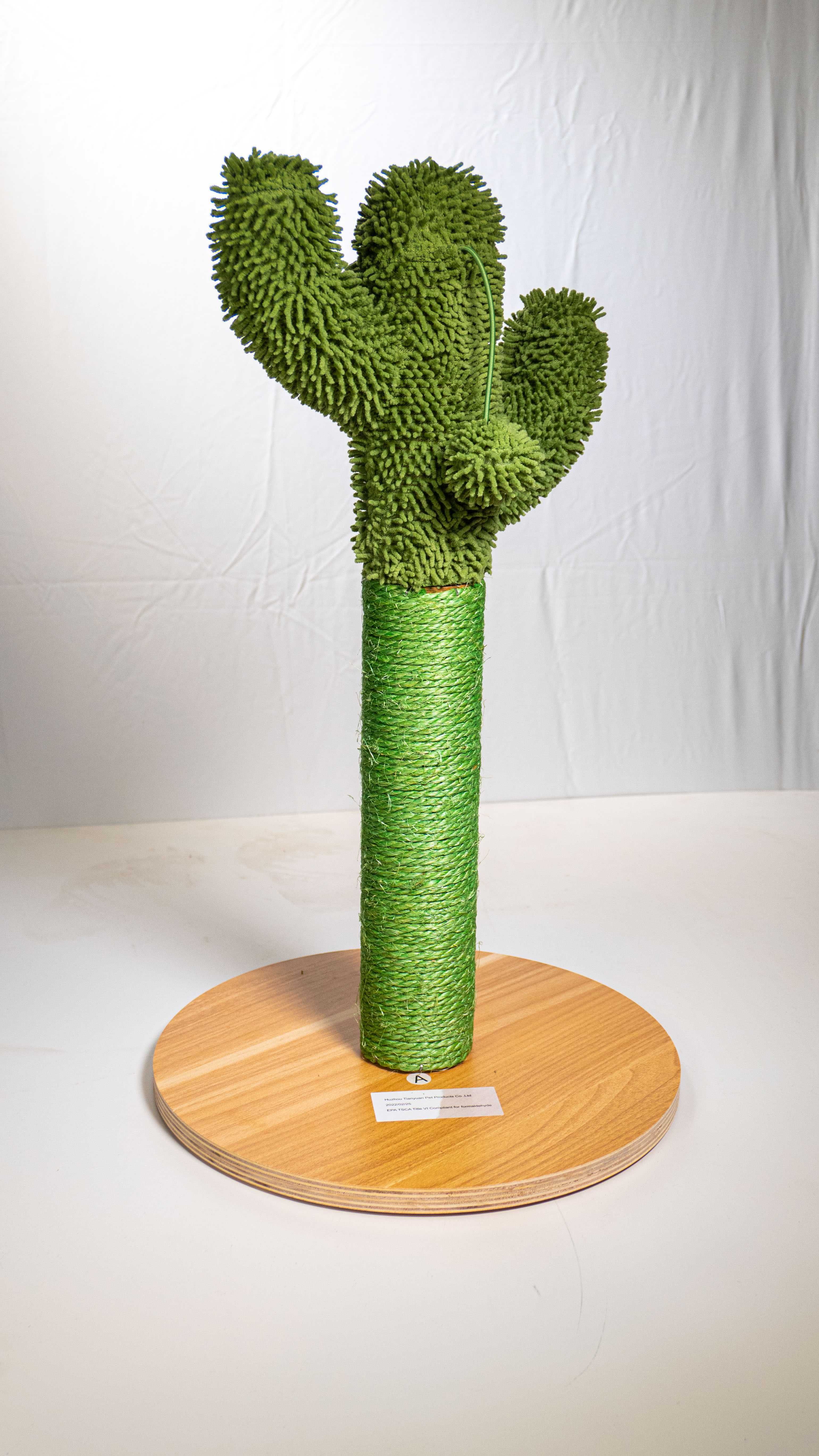 Котгтеточка в форме кактуса