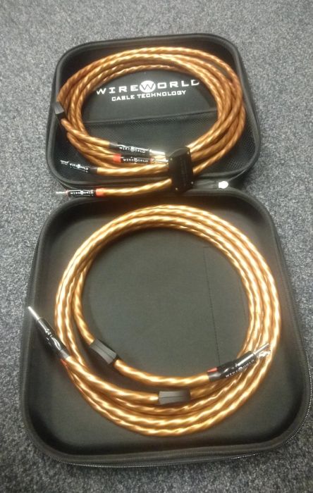 WireWorld Mini Eclipse 8 kabel głośnikowy Trans Audio Hi-Fi Wrocław