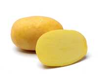 Batata agria. Produção caseira