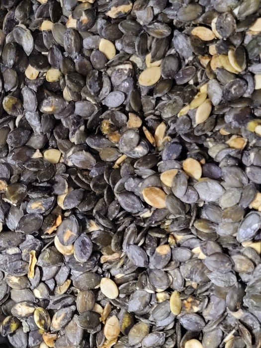 Pestki z dyni bezłuskowej dobre na olej i do wypieków