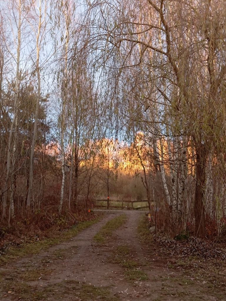 Agroturystyka (Szczere Pole)