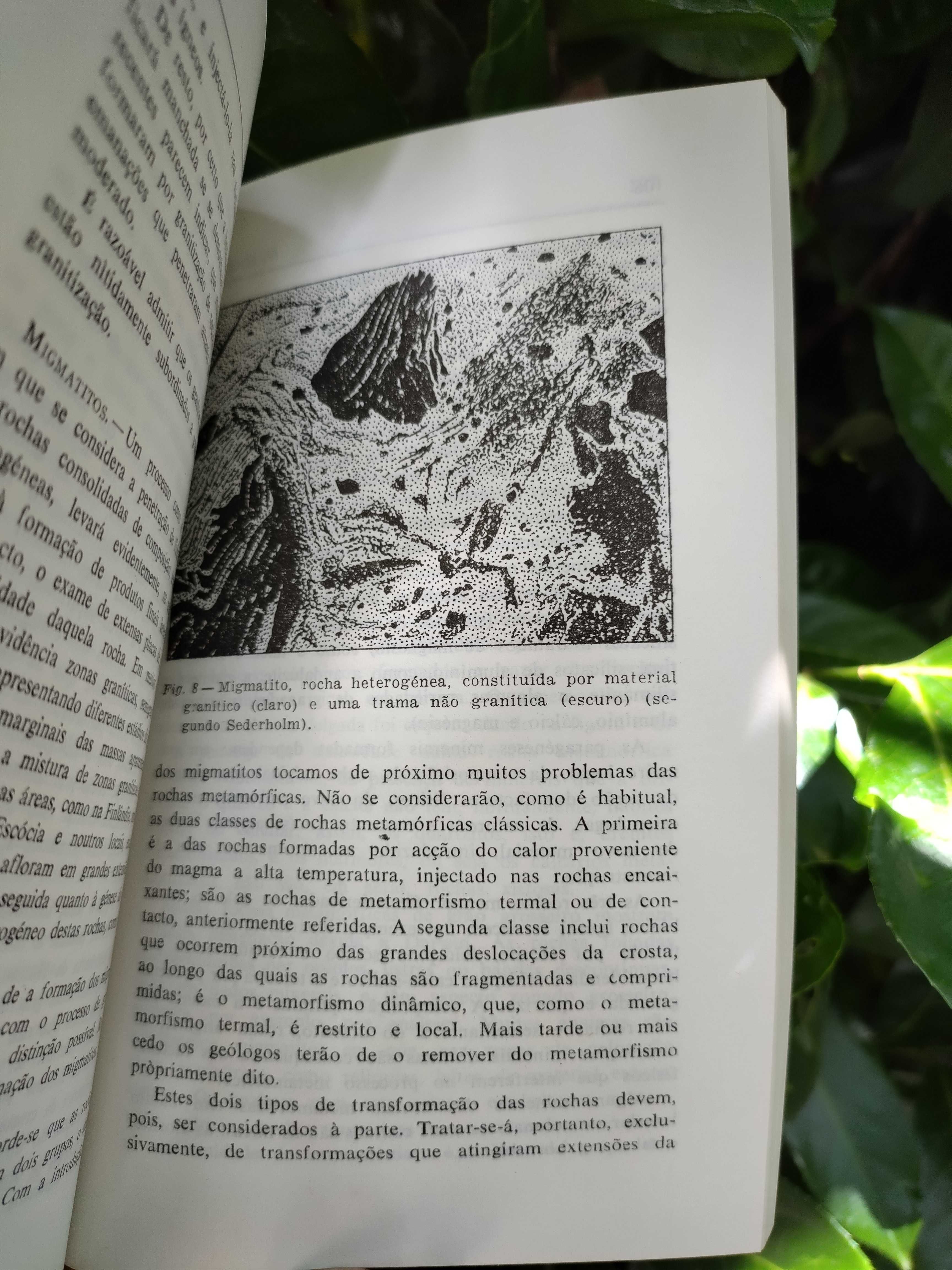 Geologia: uma introdução à história da Terra (H. H. Read)