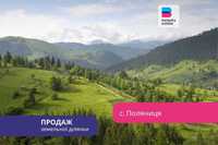 Земельна ділянка 1,6 га під житлову забудову в с.Поляниця