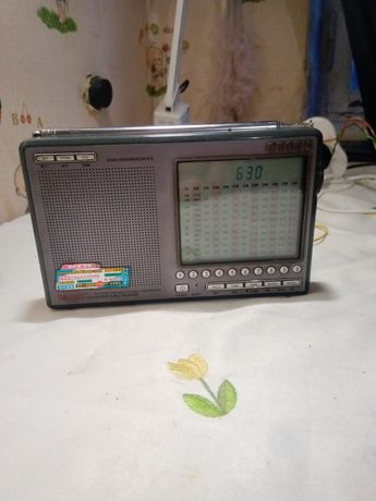 Радиоприемник   DEGEN  DE1103