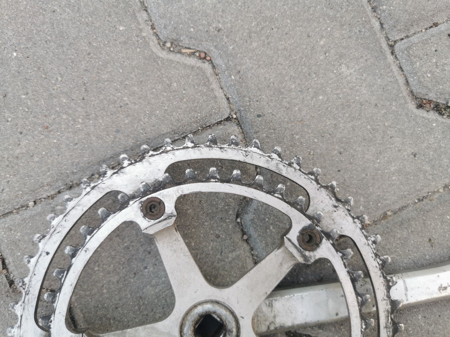 Korba szosowa Ofmega ( campagnolo shimano)